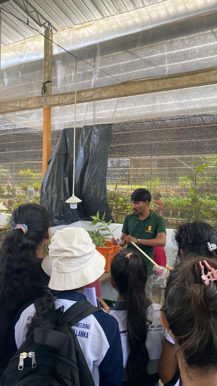 Ramya Horticulture